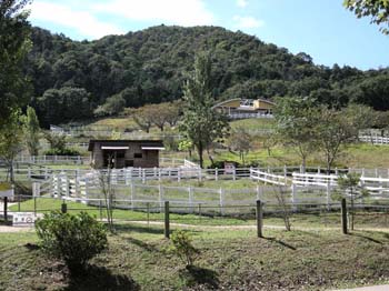 DSCN2271