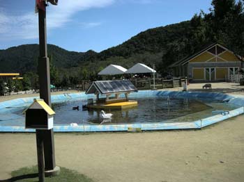 DSCN2283