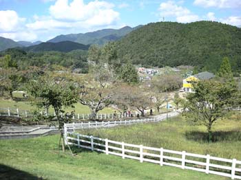 DSCN2294